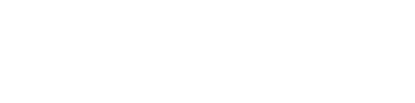 Handheld Weddings